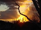 Picture for song 'Rainy Day Sunset' by artist 'RENNER'