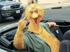 Picture for song 'Go f*** Yourself' by artist 'RFRTC'