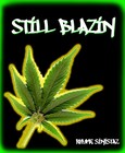 Picture for song 'Still Blazin feat. Nadine, S3Q, Duce & O.T.' by artist 'Rhyme Sinista Records'