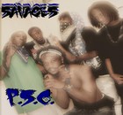 Picture for song 'sh***'s So Basik (All We Do Is Make Hitz)' by artist 'Rich Bandits'