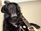 Picture for song 'Miss Kitty and me (Youtube video)' by artist 'Rick King'