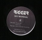 Picture for song 'Sky Marshal 2012 (live in Philadelphia; 11.26.12)' by artist 'Rigger'