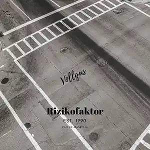 Picture for song 'Vollgas' by artist 'Rizikofaktor'