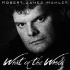 Picture for song 'Don't Dance with Babylon' by artist 'Robert James Hamlet'