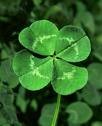 Picture for song '#228- Lucky Day (2000)' by artist 'Rob Lincoln'