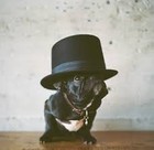 Picture for song 'DoWhatItDo Tag' by artist 'RoccaWylerSelfMadeBeats'