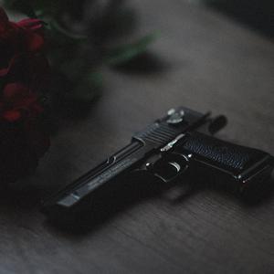 Picture for song 'Blood gun' by artist 'Roccos'
