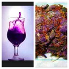 Picture for song 'Purple $hit' by artist 'Ronnie Makk'