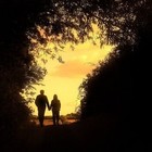 Picture for song 'Beloved memory' by artist 'Saje Music'
