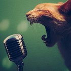 Picture for song 'pulse' by artist 'SaneBeats'