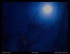 Picture for song 'Last Day of Winter' by artist 'Sarcastic Jim'