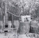 Picture for song 'MoonShine-N-' by artist 'Scuzzo'