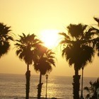 Picture for song 'Cali-Sunset' by artist 'Sean Original'