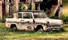 Picture for song 'Just a little 195 - Theo King' by artist 'Self laid traps'