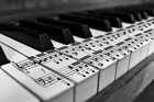 Picture for song 'Sample beat1' by artist 'ShermedOutProductionz'