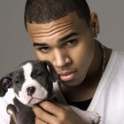 Picture for song 'Drive Me Crazy' by artist 'ShineBeats'