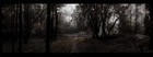 Picture for song 'Didn't see thys comin' (evil trap beat)' by artist 'Sick Farm Records (evil beats)'