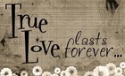Picture for song 'Last Forever' by artist 'SIN THE LYRICAL GOD'