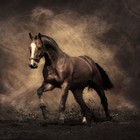 Picture for song 'Magestic' by artist 'SirZachTaylor'