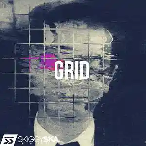 Picture for song 'Grid' by artist 'Skiggy Ska'
