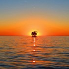 Picture for song 'example258.110' by artist 'SockaProductions'