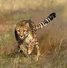 Picture for song '89swift' by artist 'SPiVEY Sounds'