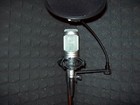 Picture for song 'i still rise/beat/www.jeejuh.com' by artist 'Stachronic'
