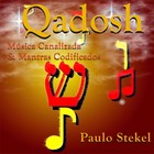 Picture for song 'Album Qadosh (samples)' by artist 'Stekel'