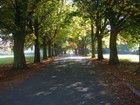 Picture for song 'Coming Home' by artist 'Stephen.M (UK)'