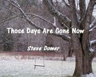Picture for song 'Those Days Are Gone Now' by artist 'Steve Domer'