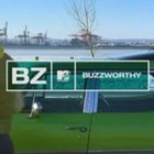 Picture for song 'BUZZWORTHY' by artist 'STEVE VICIOUS'