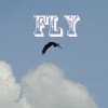 Picture for song 'Fly' by artist 'Streeter and Tang'