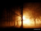 Picture for song 'october intensity' by artist 'sum of the daze'