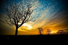 Picture for song 'Fear Not - Instrumental.mp3' by artist 'Susan Curry'