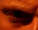 Picture for song 'Kaaskop-bi***es' by artist 'Swamibamisalami'