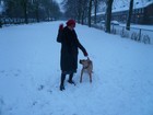 Picture for song 'I Love You' by artist 'Tapeone'