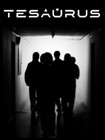 Picture for song 'Open Doors' by artist 'TESAURUS'