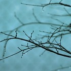 Picture for song 'Mystic (Free DL!)' by artist 'Tetprod.'