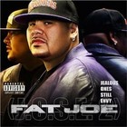 Picture for song 'Fat Joe ft. Drake - Misunderstood' by artist 'Tha Producerz'