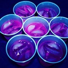 Picture for song '*Trap* Purp Sprite (Free DL)' by artist 'TheBeatMenace'