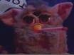 Picture for song 'The Evil Furby' by artist 'The Bozack's'