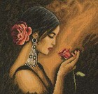 Picture for song 'lolita' by artist 'the bunkbeds'