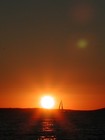 Picture for song 'Summers Love' by artist 'the casimir engine'