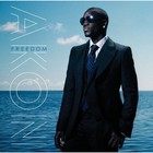 Picture for song 'Freedom **TheFinishersbeats.net**' by artist 'The Finishers'