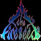 Picture for song 'Blood from a Stone' by artist 'The Fireseeds'