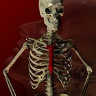 Picture for song 'The Skeleton Man' by artist 'The Happy Hour'