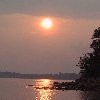 Picture for song 'Rising Sun Blues' by artist 'The New Folksters'