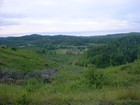 Picture for song 'Worn Out' by artist 'The Pine Mountain Whine Fountain'