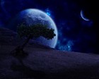 Picture for song '*NEW*Magic Nights - FREE D/L' by artist 'The Progress Producers'