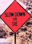 Picture for song 'Take It Slow Ft. Juice'D' by artist 'The Real Mic Savvy'